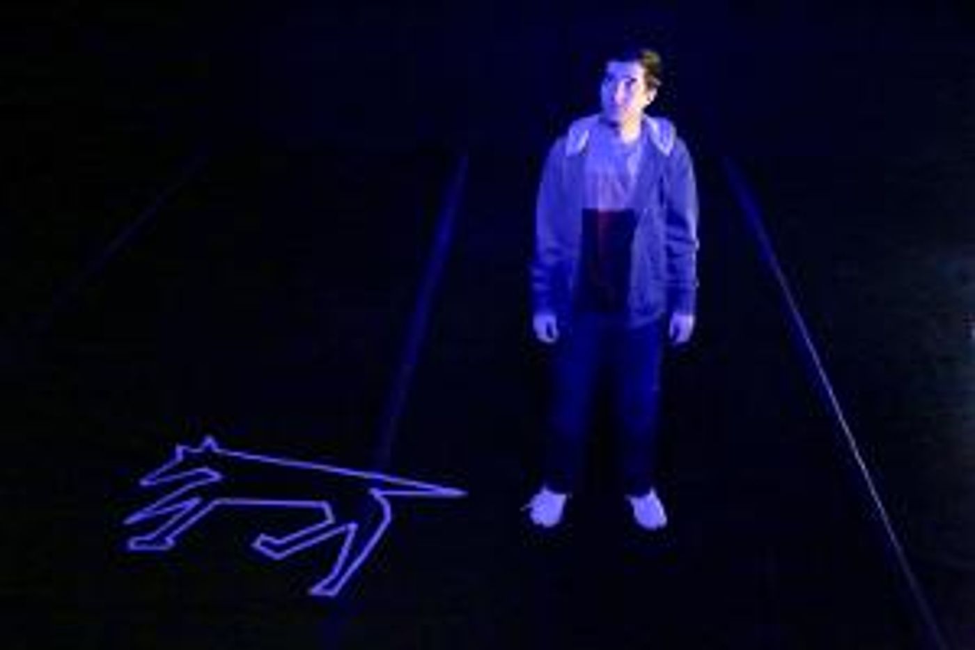 THE CURIOUS INCIDENT OF THE DOG IN THE NIGHT-TIME Announced At Connecticut Repertory Theatre  Image