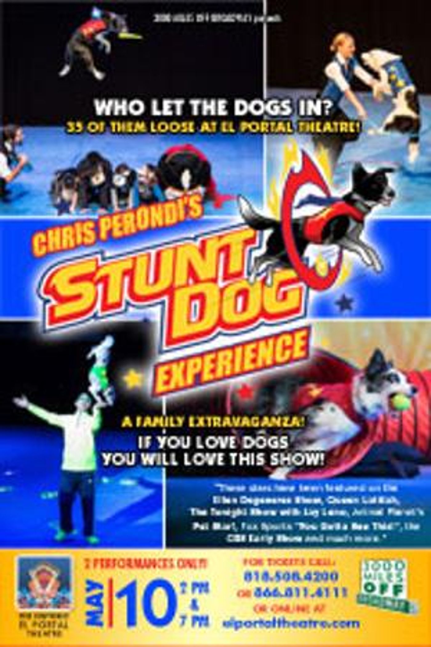 El Portal Theatre Kicks Off 2020 With Ice Skating On Stage, 35 Stunt Dogs And More!  Image