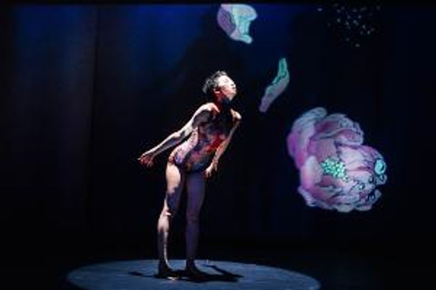 REDCAT Presents Tabaimo & Maki Morishita: FRUITS BORNE OUT OF RUST  Image