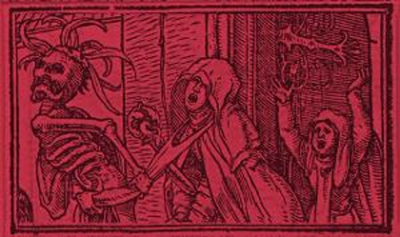 EVERYBODY Comes to Sydney  Image