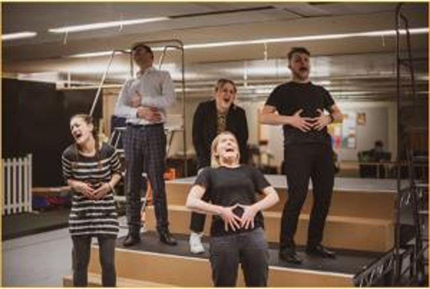 Comic Valentine To Musical Theatre Plays At Bridewell Theatre  Image