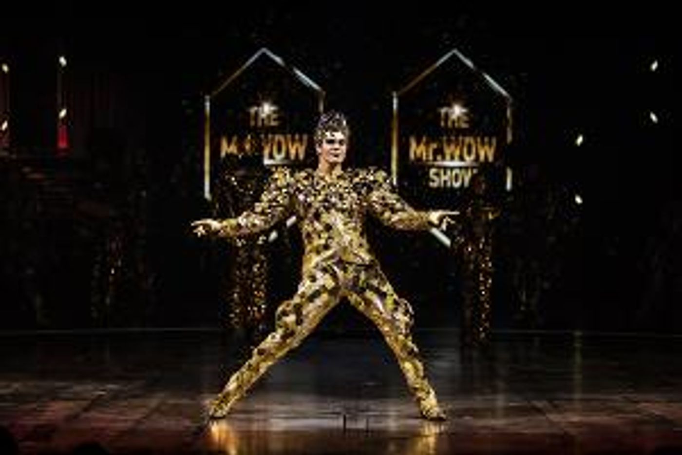 Cirque Du Soleil VOLTA Equality Night In Los Angeles Feb 13  Image