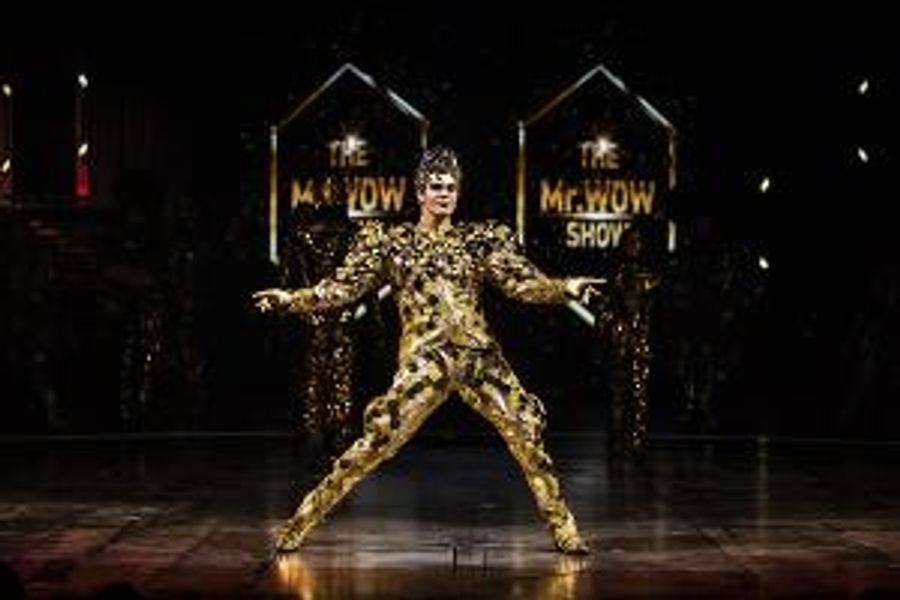 Cirque Du Soleil VOLTA Equality Night In Los Angeles Feb 13 Image