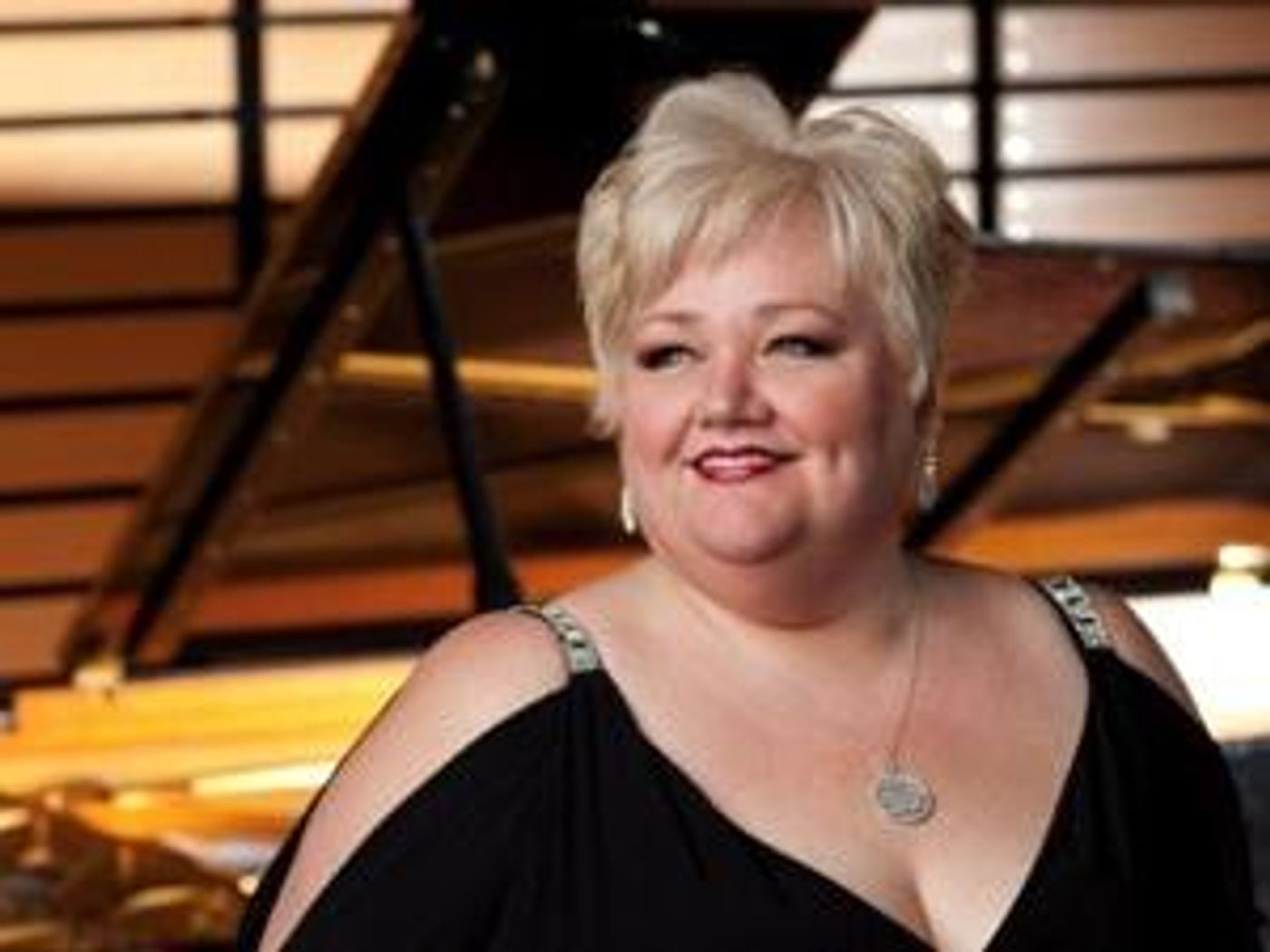 Stephanie Blythe Hosts Berkshire Opera Festival's 5th Anniversary Gala Concert  Image