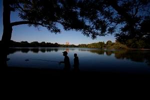 Pb Photo Centre To Present Two Views Of New York City, April 4 To May 23  Image