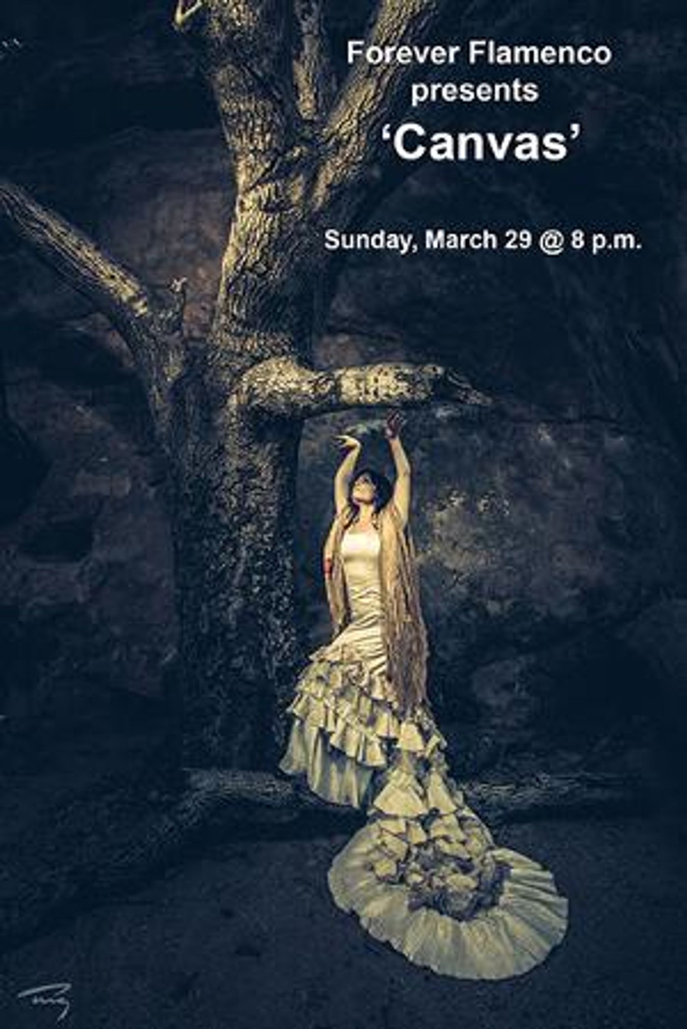 Forever Flamenco Presents CANVAS By Gerardo Morales  Image