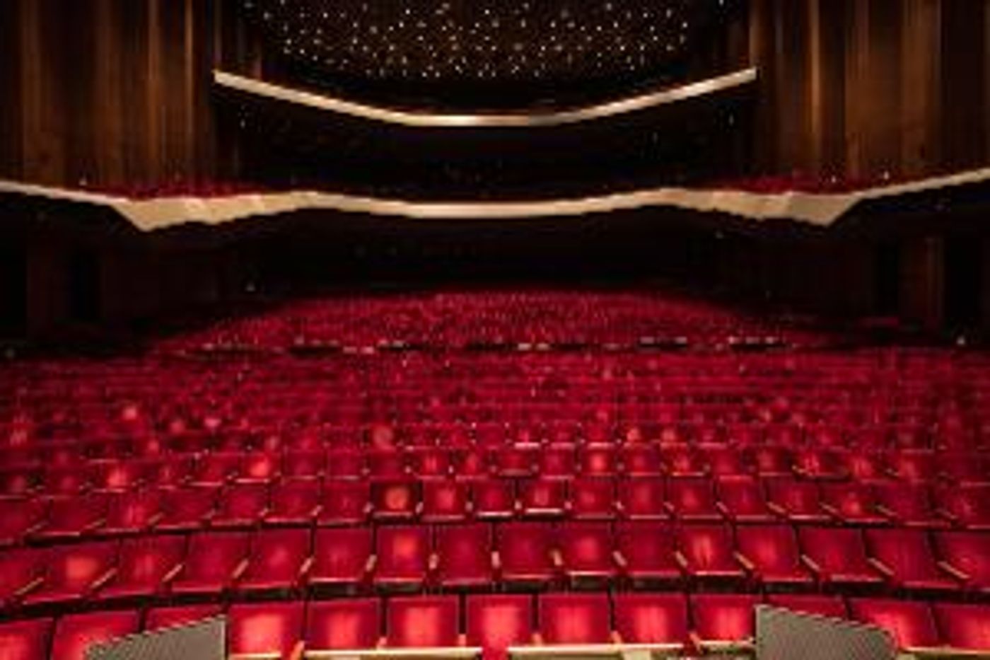 Houston Symphony to Stream Free Concert Broadcasts and More Throughout Shutdown  Image