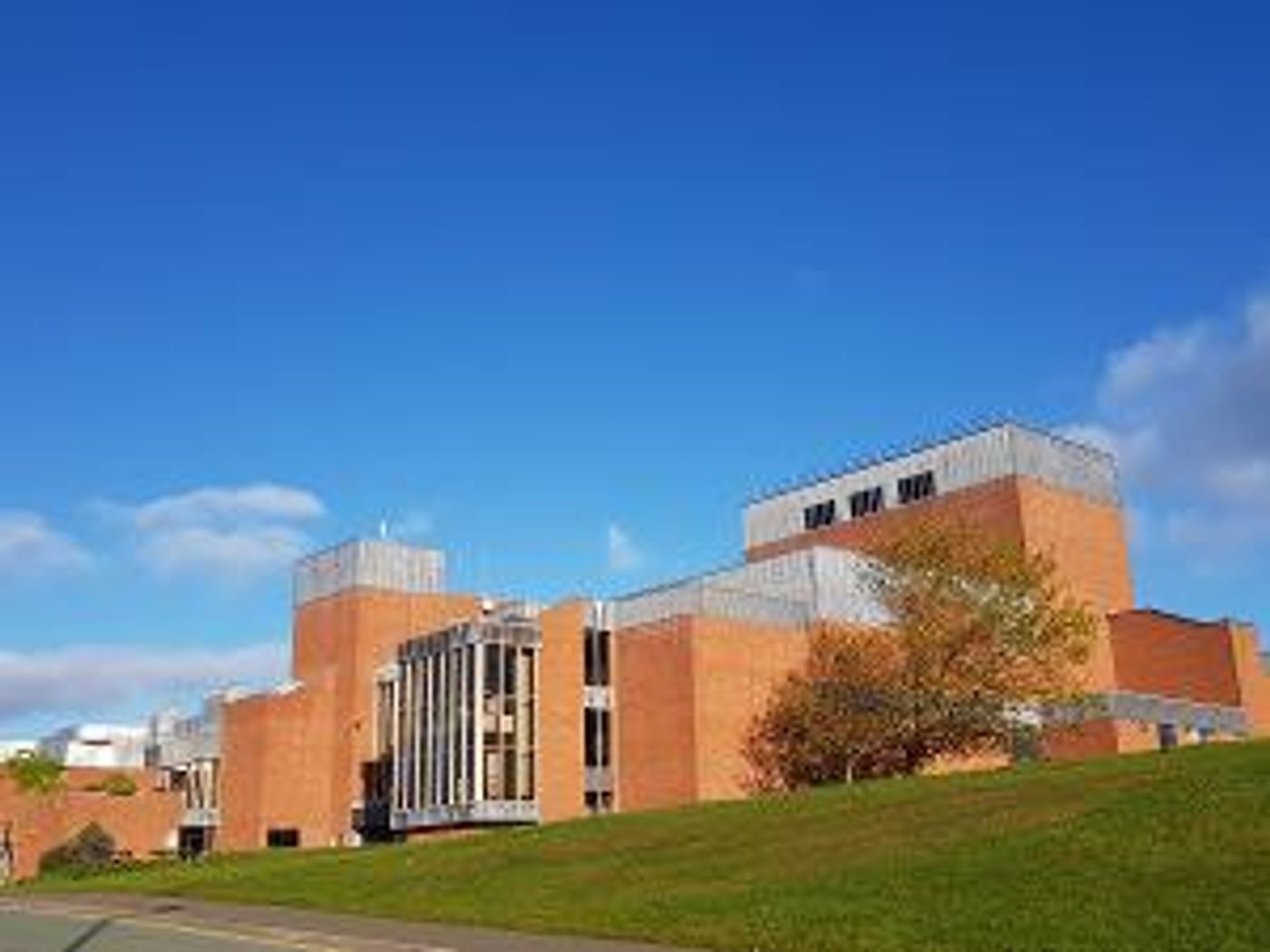Theatr Clwyd To Become Venue For Blood Donations  Image