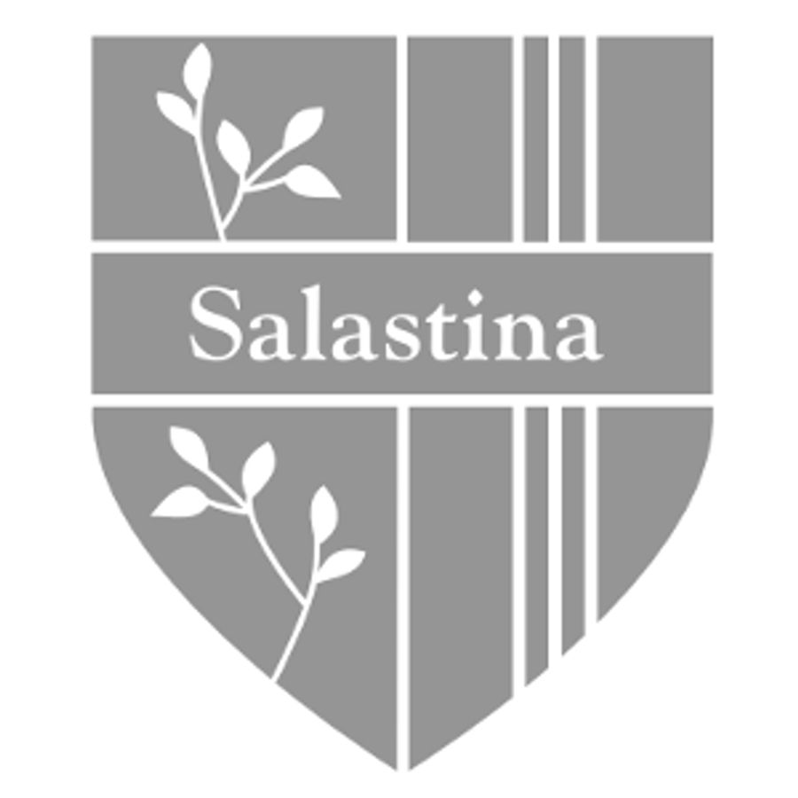 Salastina Announces Virtual Happy Hours, Performance Videos, And New Digital Commission Image