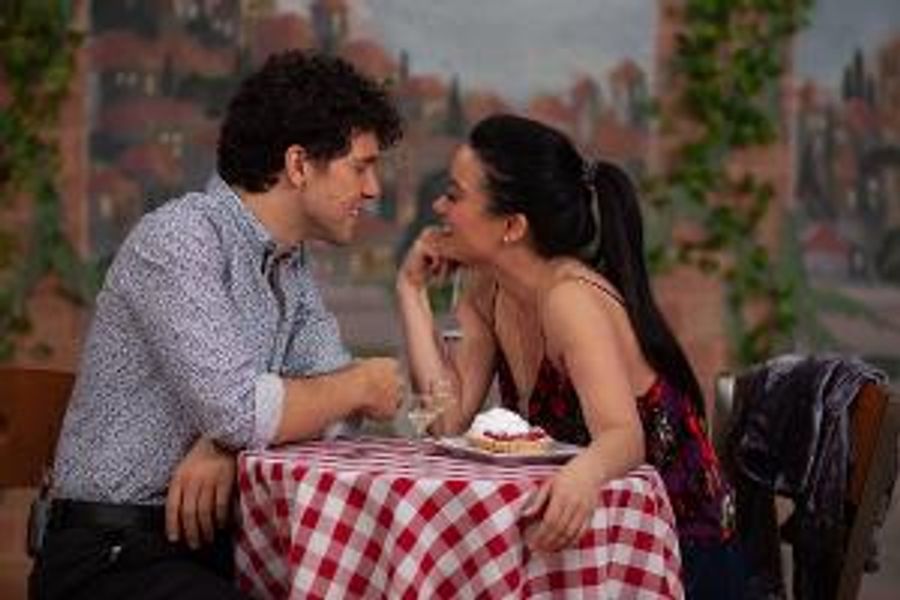 Streaming Musicals to Present Movie Musical MARRY HARRY Image