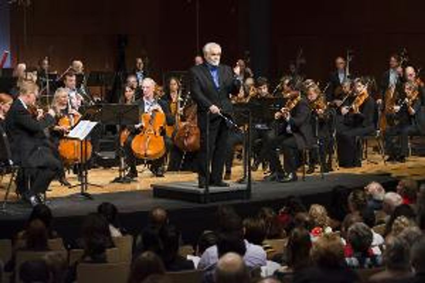 The Discovery Orchestra Invites Public Television Audiences To DISCOVER THE FIREBIRD This Spring  Image