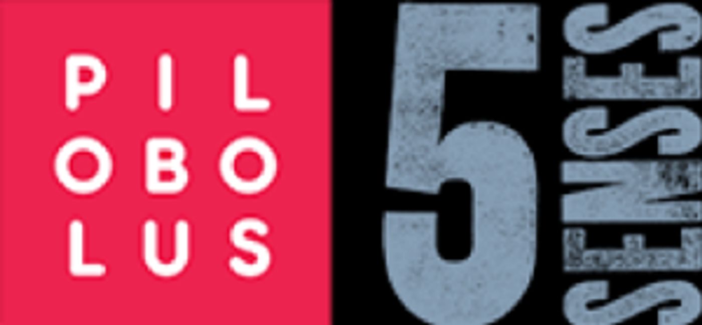 3rd Annual FIVE SENSES FESTIVAL Scheduled For Summer 2020  Image