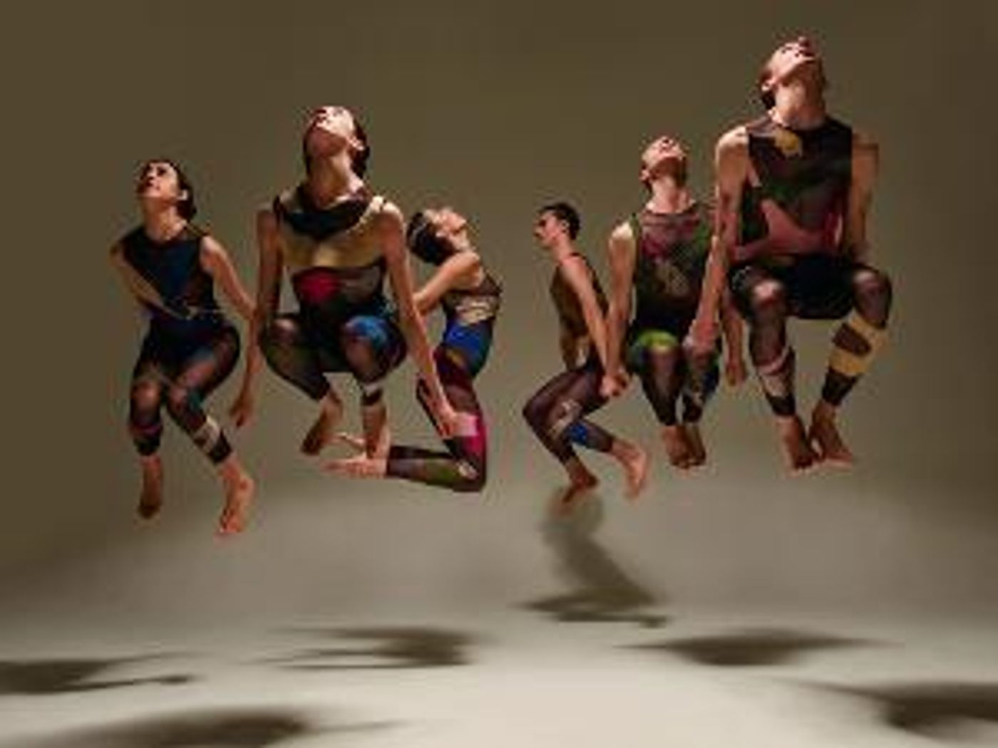 Stephen Petronio Company Announces Online Programming and More  Image