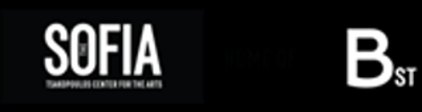 B Street Theatre's “Rescue Actors” Video Propels The Organization's Most Successful Fundraiser  Image