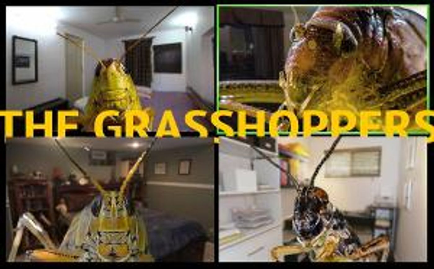 Buntport Theater Company Announces THE GRASSHOPPERS  Image