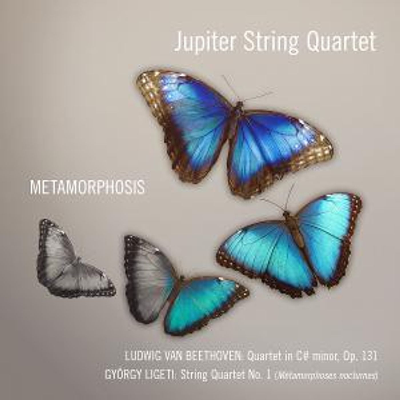 Jupiter String Quartet Releases New Album 'Metamorphosis' June 12  Image