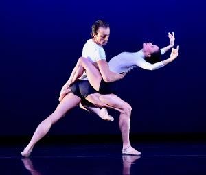 Chamber Dance Offers Free Zoom On Contemporary Ballet  Image