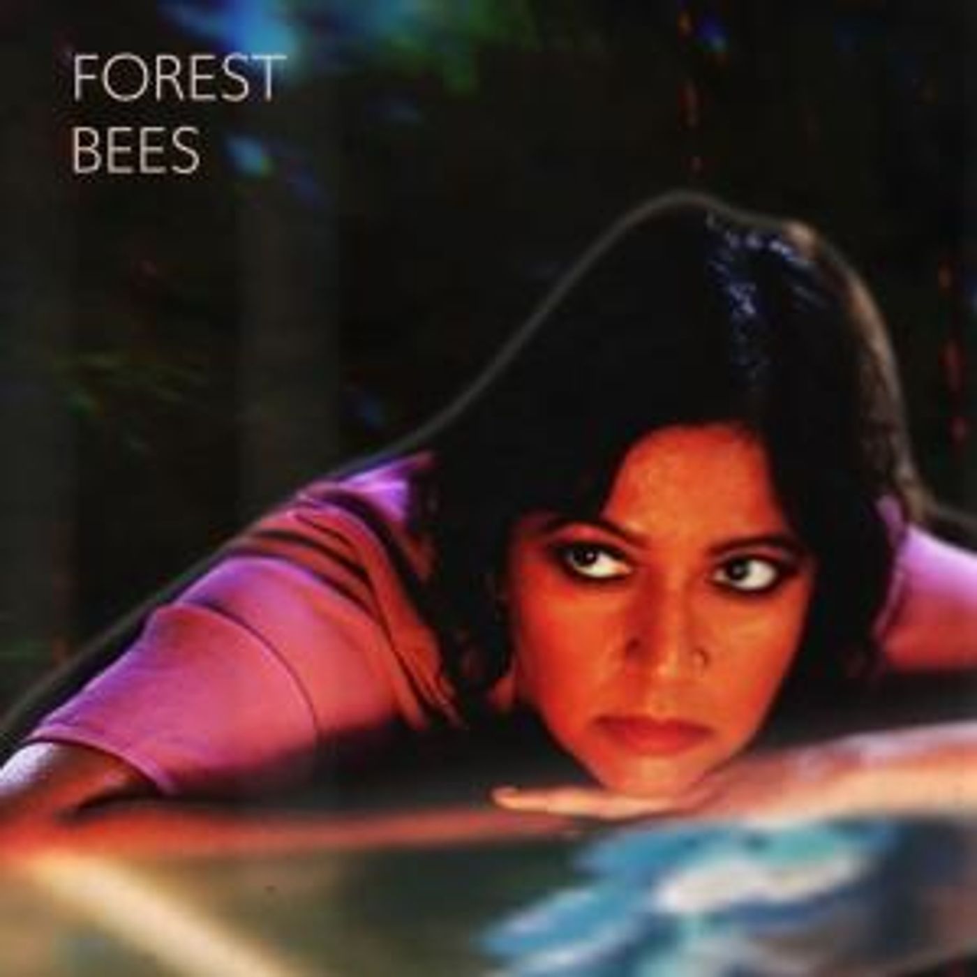 Forest Bees Releases New Album  Image