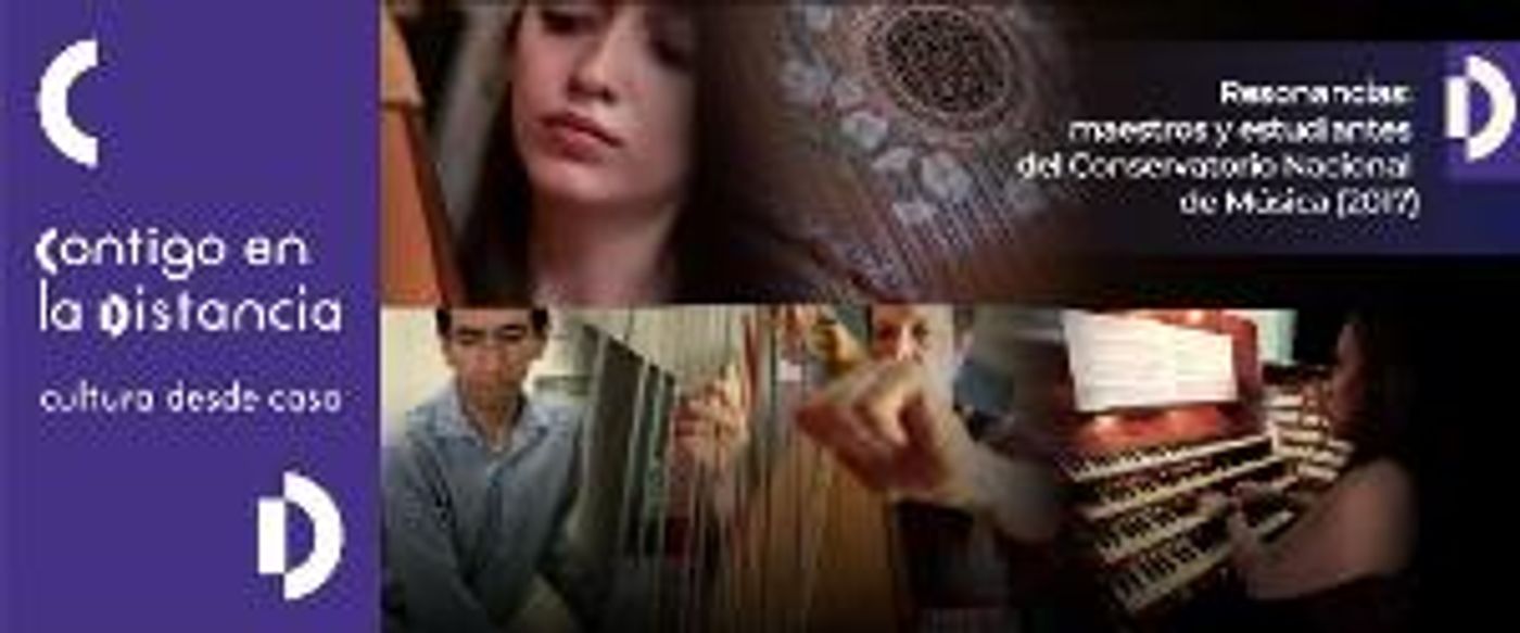 Resonancia, La Armonía Del Sonido, Una Serie Para Conocer A Fondo Los Instrumentos Musicales  Image