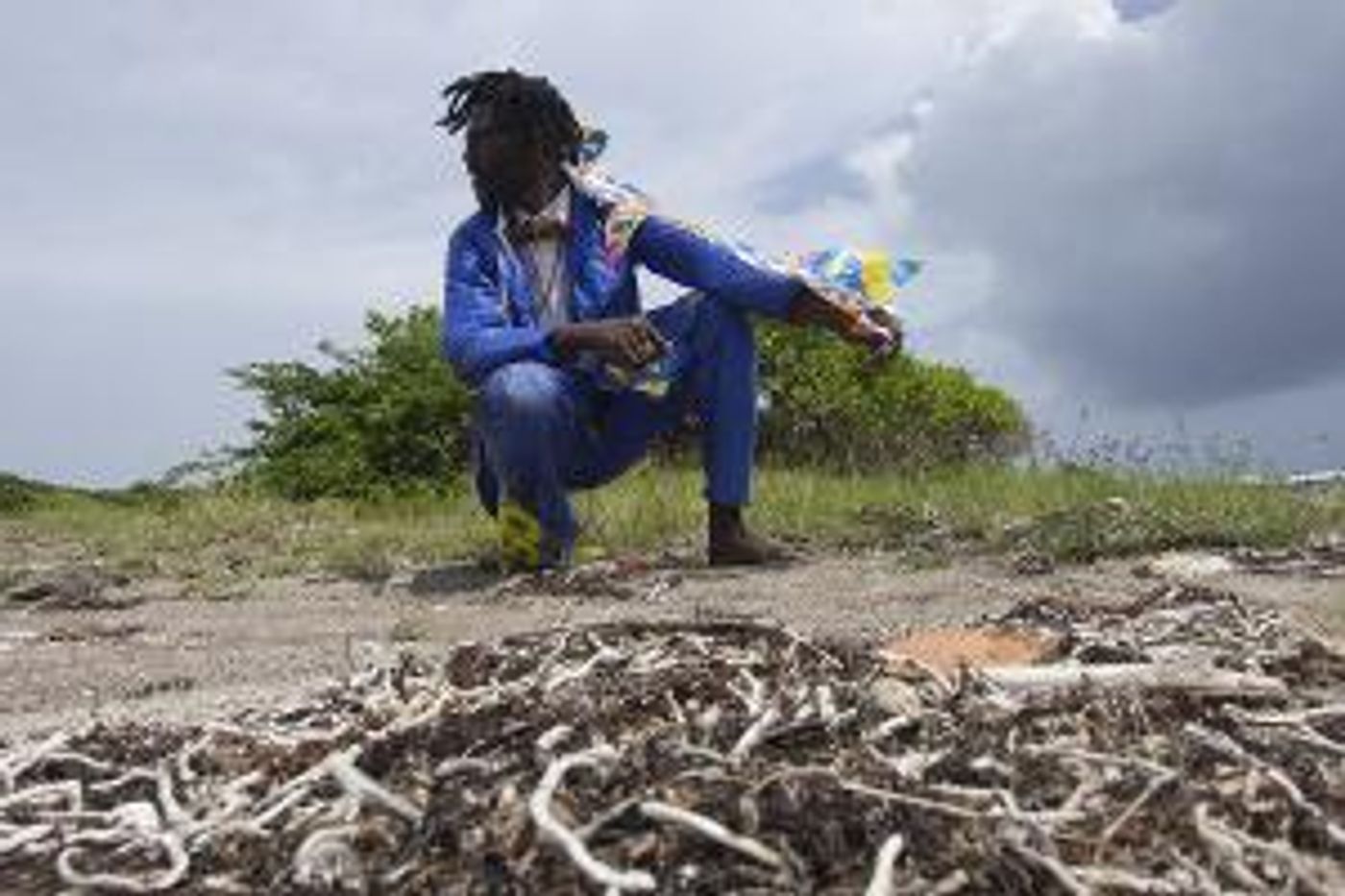 PAMM And Indigo Arts Alliance Host Virtual Artist-in-Residence With Nyugen Smith  Image