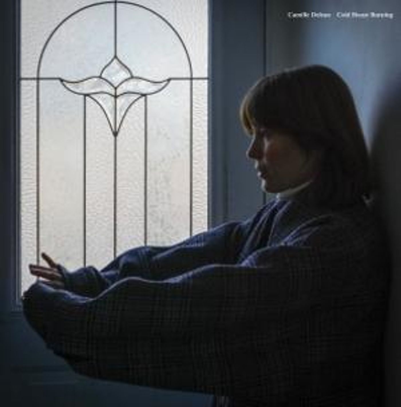 Camille Delean's 'Cold House Burning' Is Out This Friday  Image