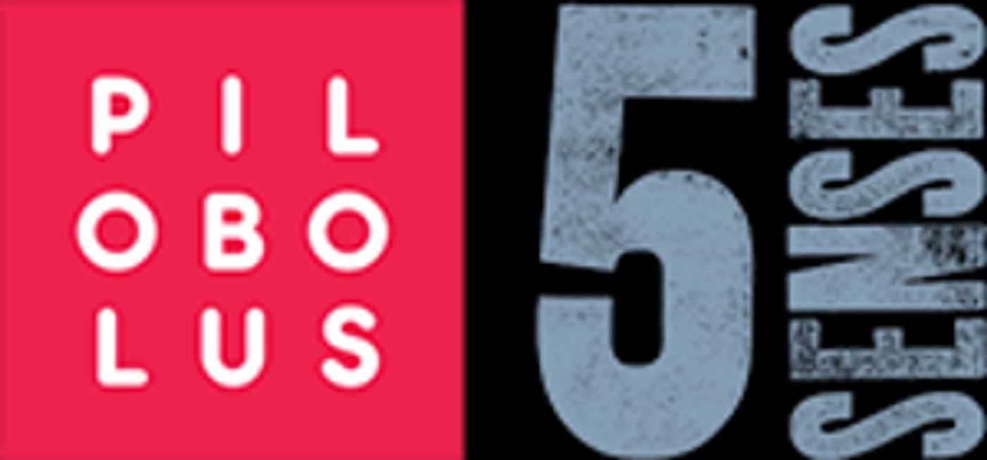 The 3rd Annual Five Senses Festival Announces Schedule And Ticket Sales  Image