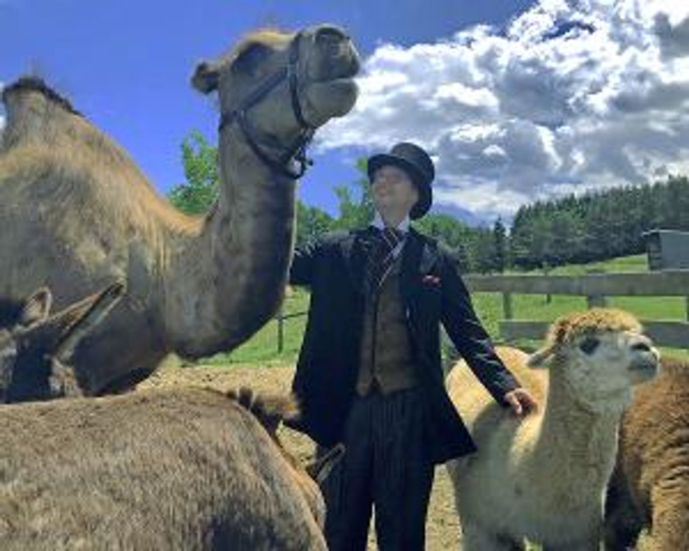 Cortland Rep Presents STORIES IN THE PARK  Image