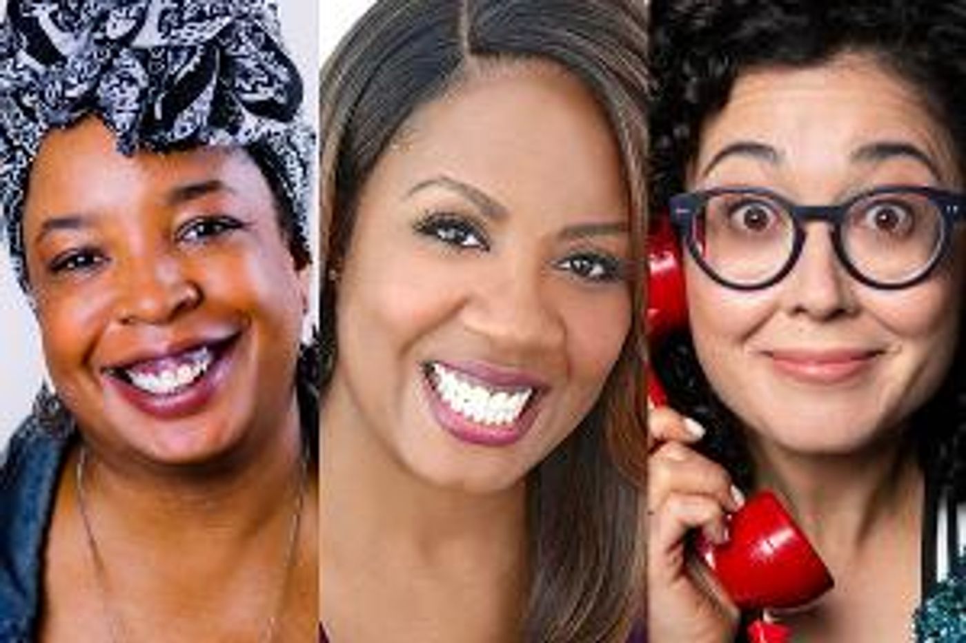 PlayMakers Laboratory Presents CELEBRATION OF AUTHORS - A Virtual Gala  Image