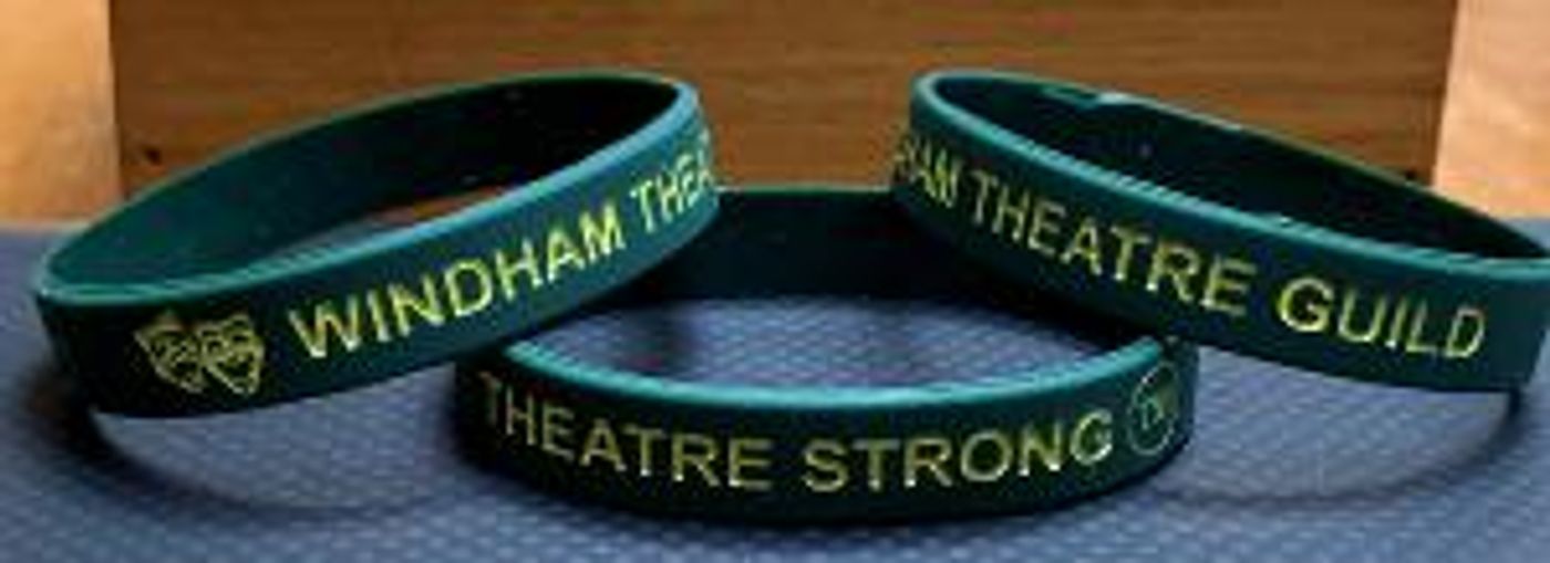 WTG Launches Theatre Strong Campaign  Image
