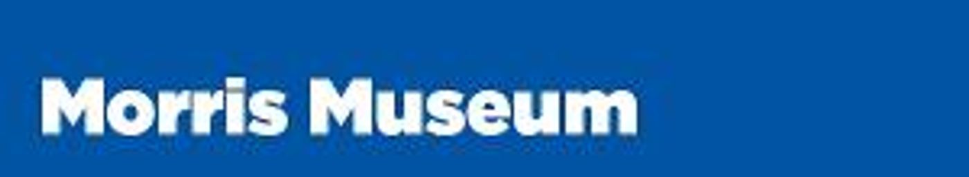 Lot Of Strings Music Festival Announced At The Morris Museum  Image