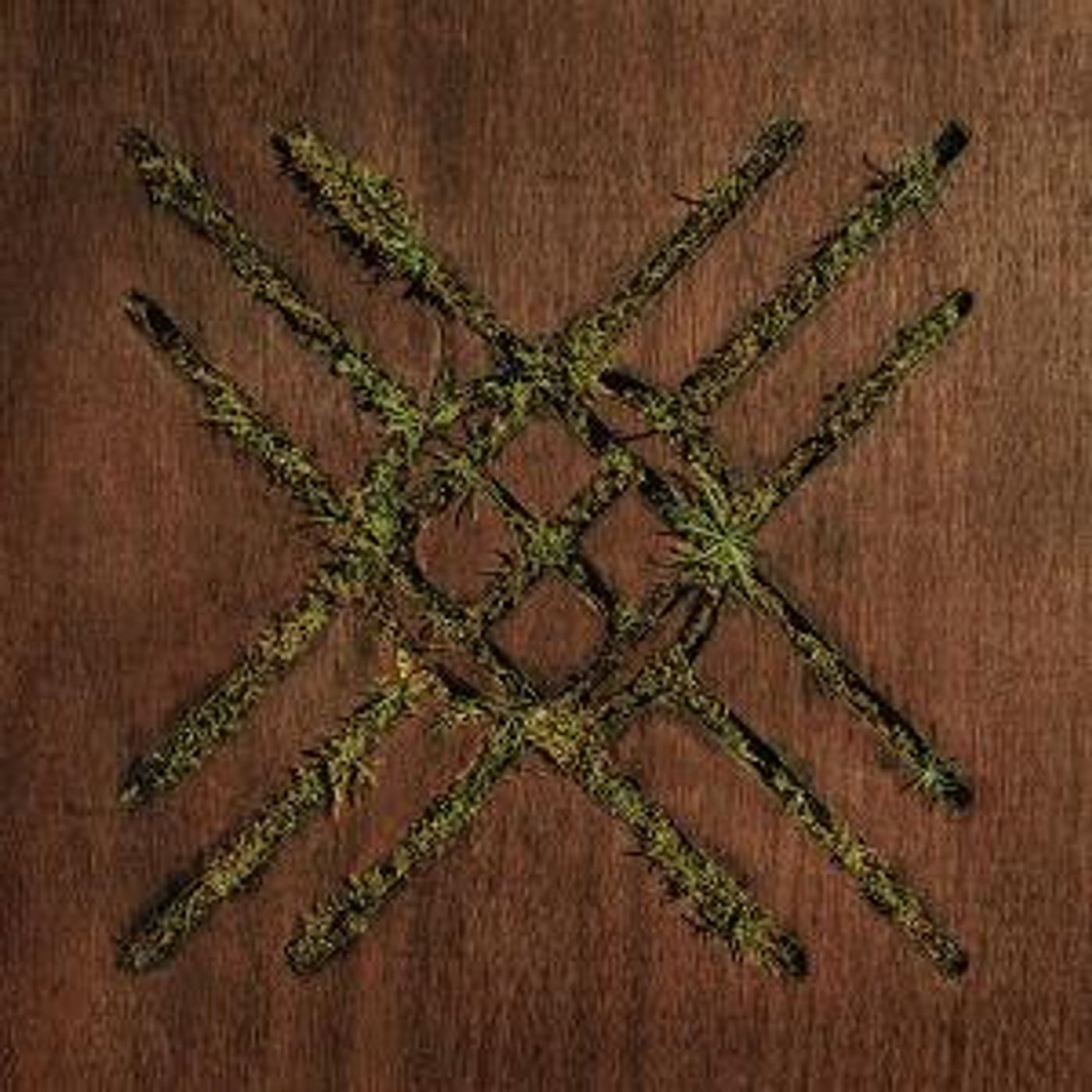 Moon Tooth Releases 'Violent Grief: Acoustic Selections'  Image