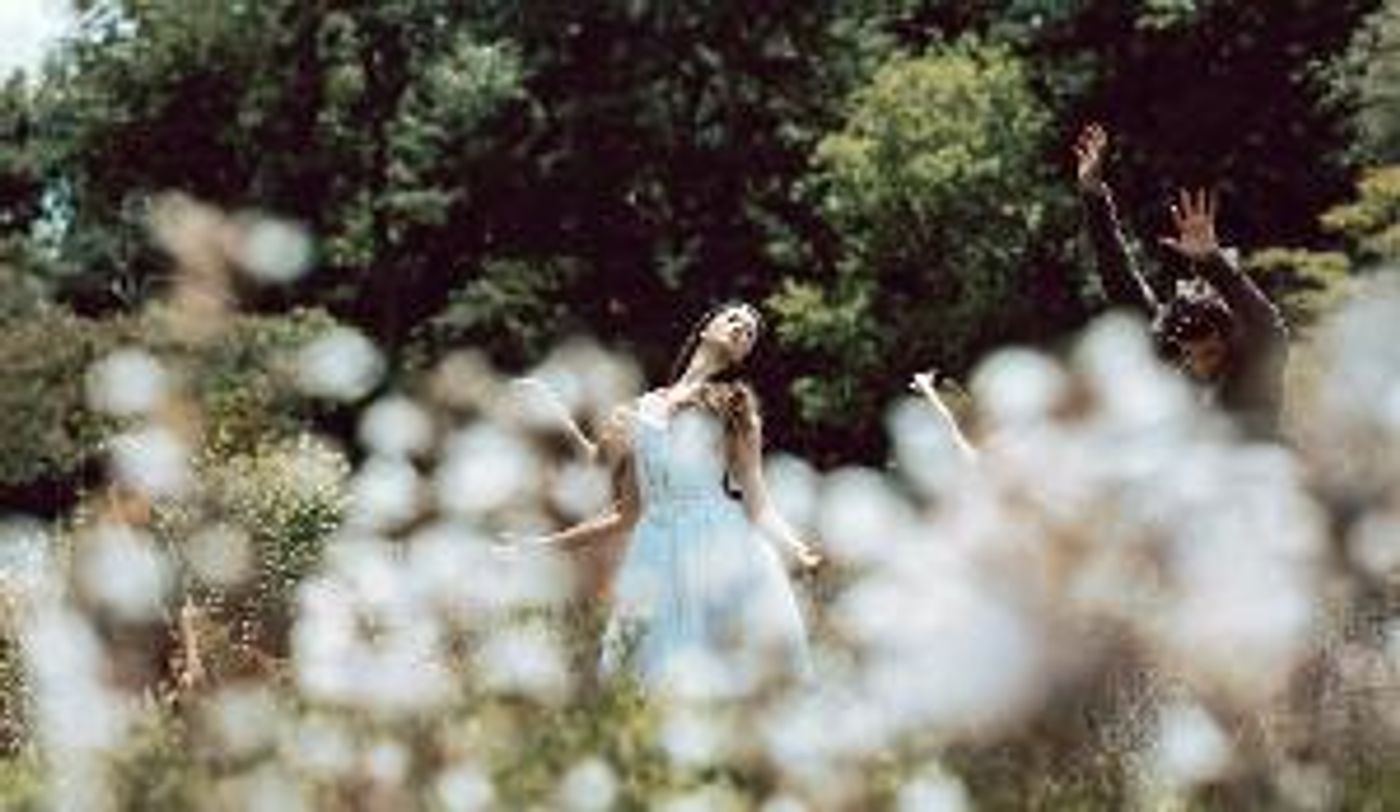 Pittsburgh Ballet Theatre Company Reunites For County Parks Summer Series  Image