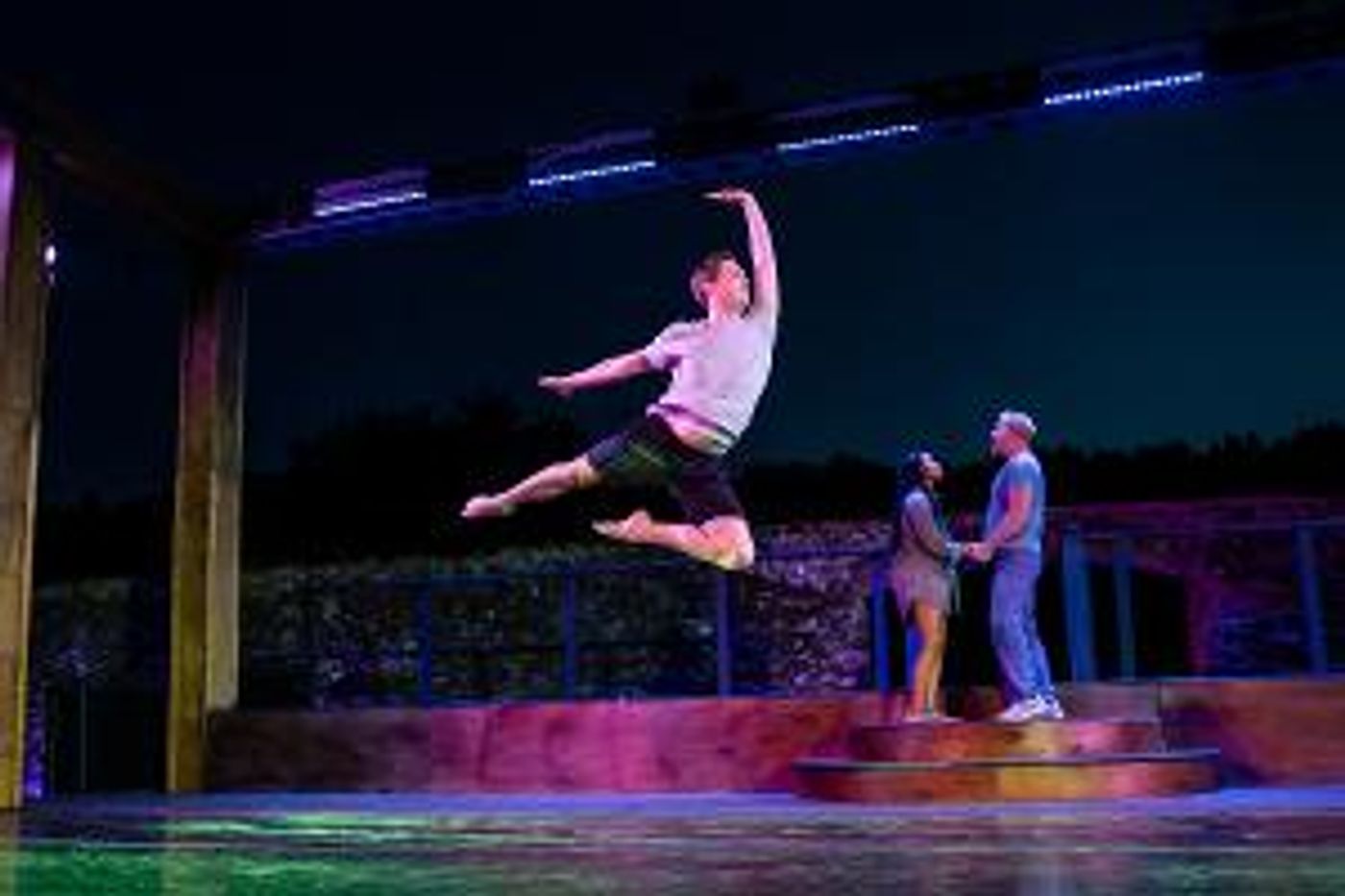 Transcendence Theatre Company Presents I HOPE YOU DANCE As Part Of 2020 Online Season  Image