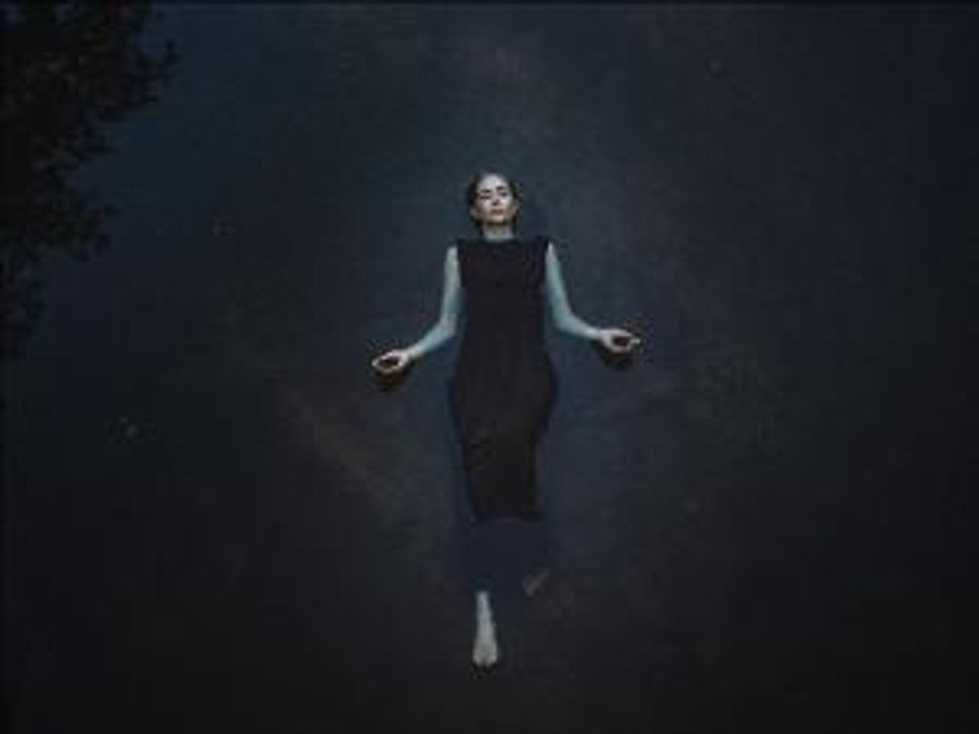 Sarah Kirkland Snider Releases New Album 'Mass for the Endangered' Next Month  Image