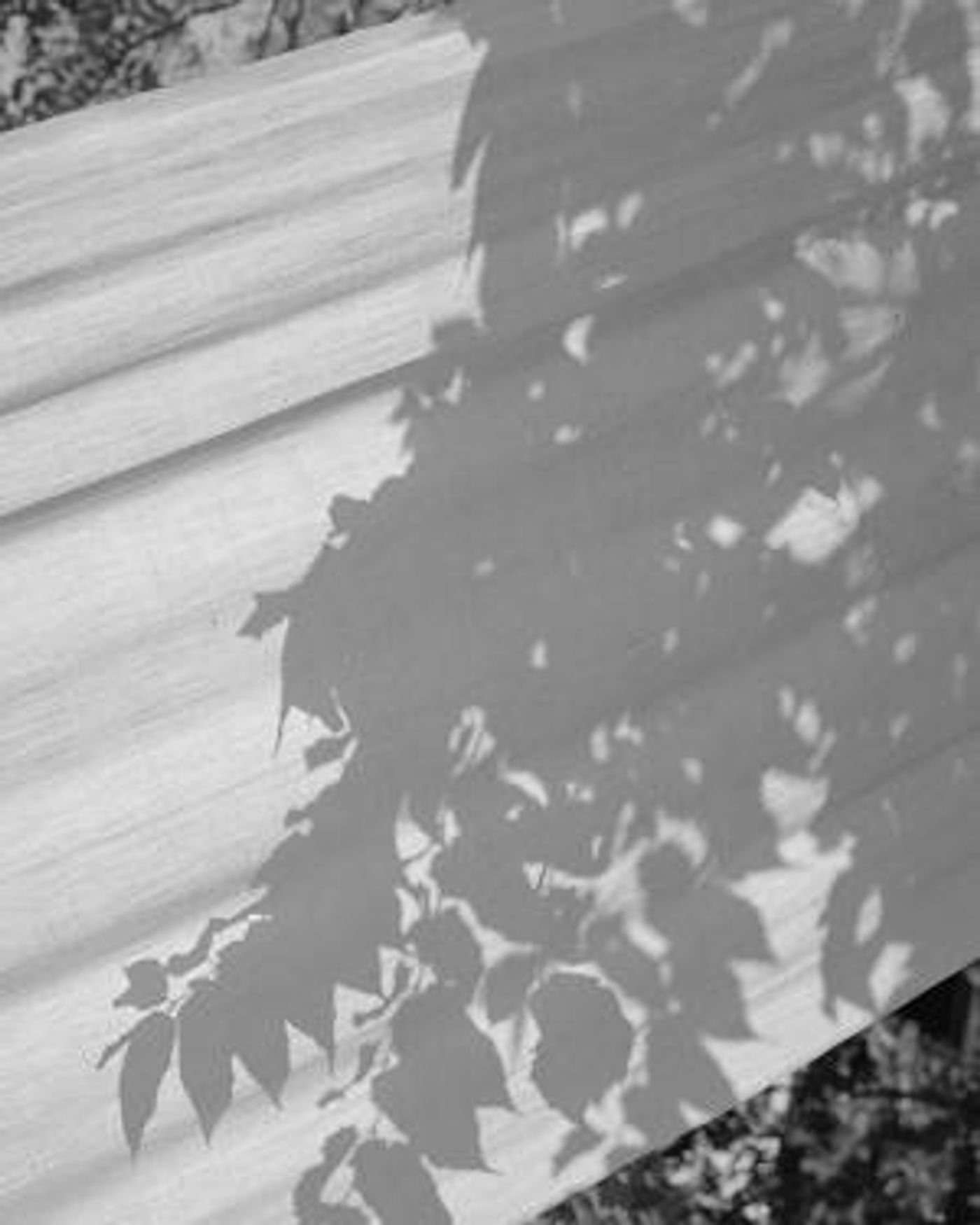 RISD 2020 MFA Photography Show Opens Thursday At ClampArt  Image