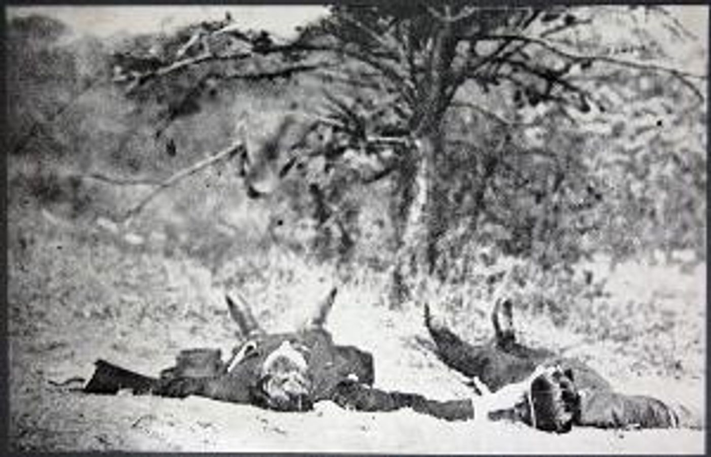 Thinkery & Verse present THAT'S HOW THE STORY GOES: A Hall-Mills Murders PODCAST  Image