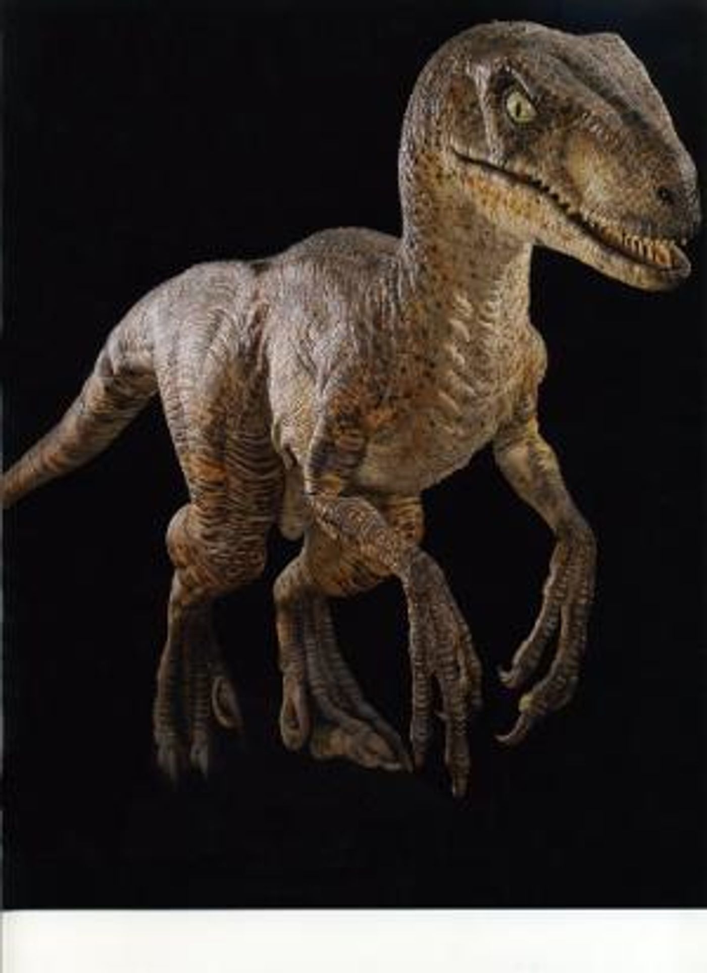 ICONS OF DARKNESS Exhibit Announced at The Montalbán  Image