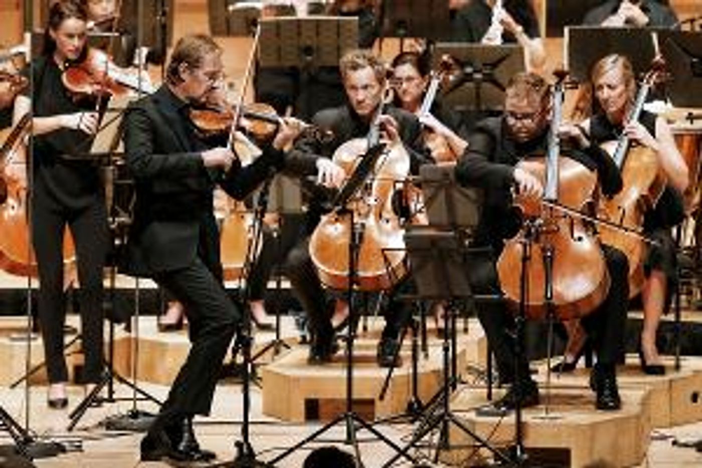 Australian Chamber Orchestra Announces First Live Public Performances  Image