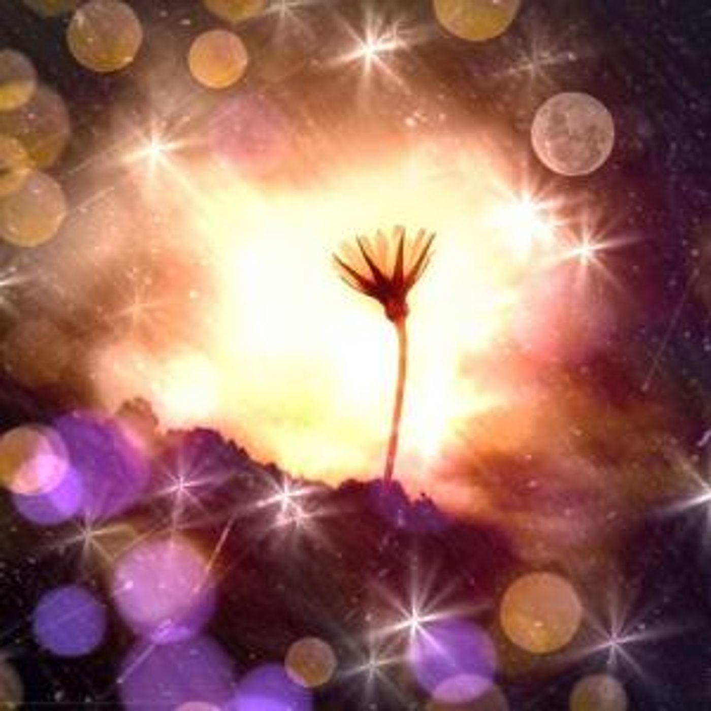 Fall Shakespeare Returns To LNT Outdoors  Image