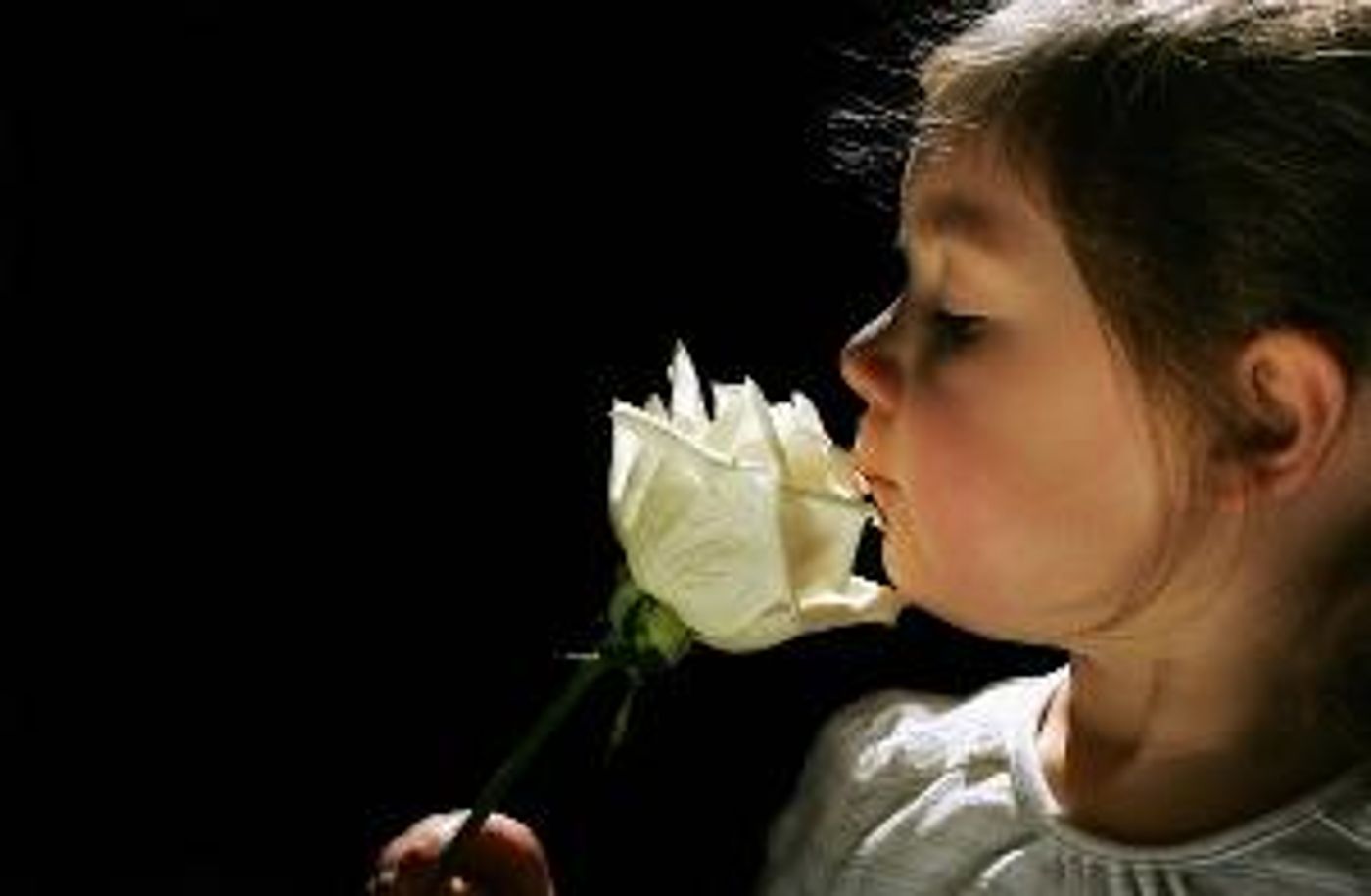 Stories On Stage Celebrates Their 20th Anniversary Season  Image