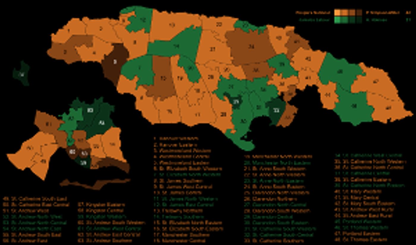 Jamaica's 2020 Election Covered By Reggae King Radio  Image