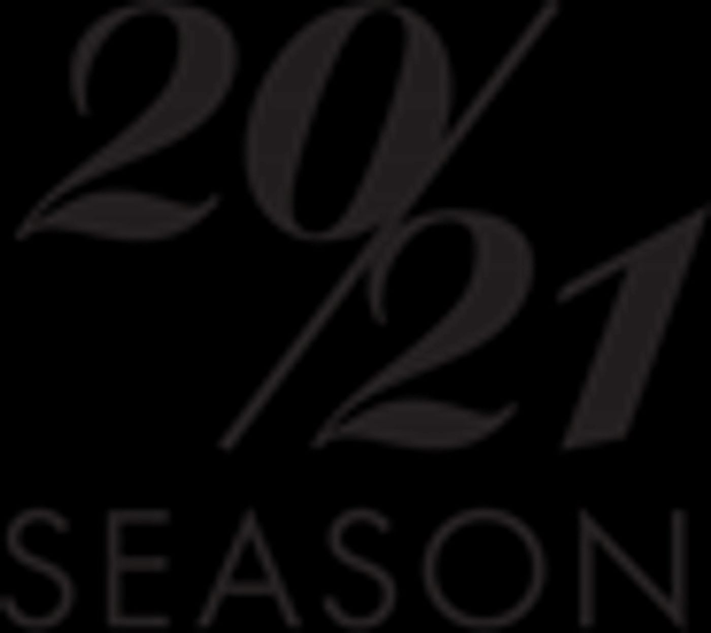 Palm Beach Opera Announces Additions To Board Of Directors  Image