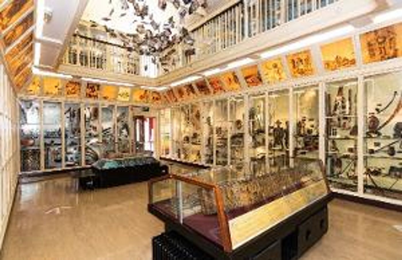 Warrington Museum & Art Gallery Launches New App  Image