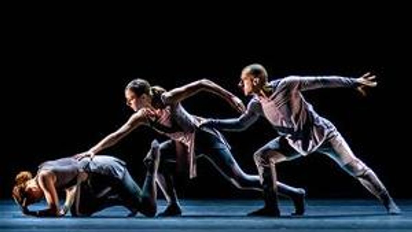 Carlsen Center Presents New Dance Partners Virtual Retrospective  Image