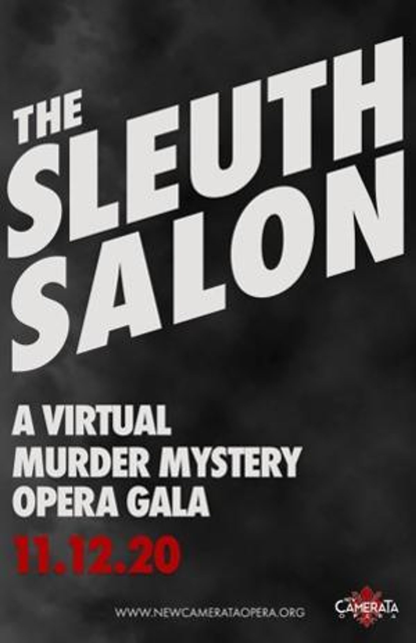 New Camerata Opera Announces Fall 2020 Season  Image