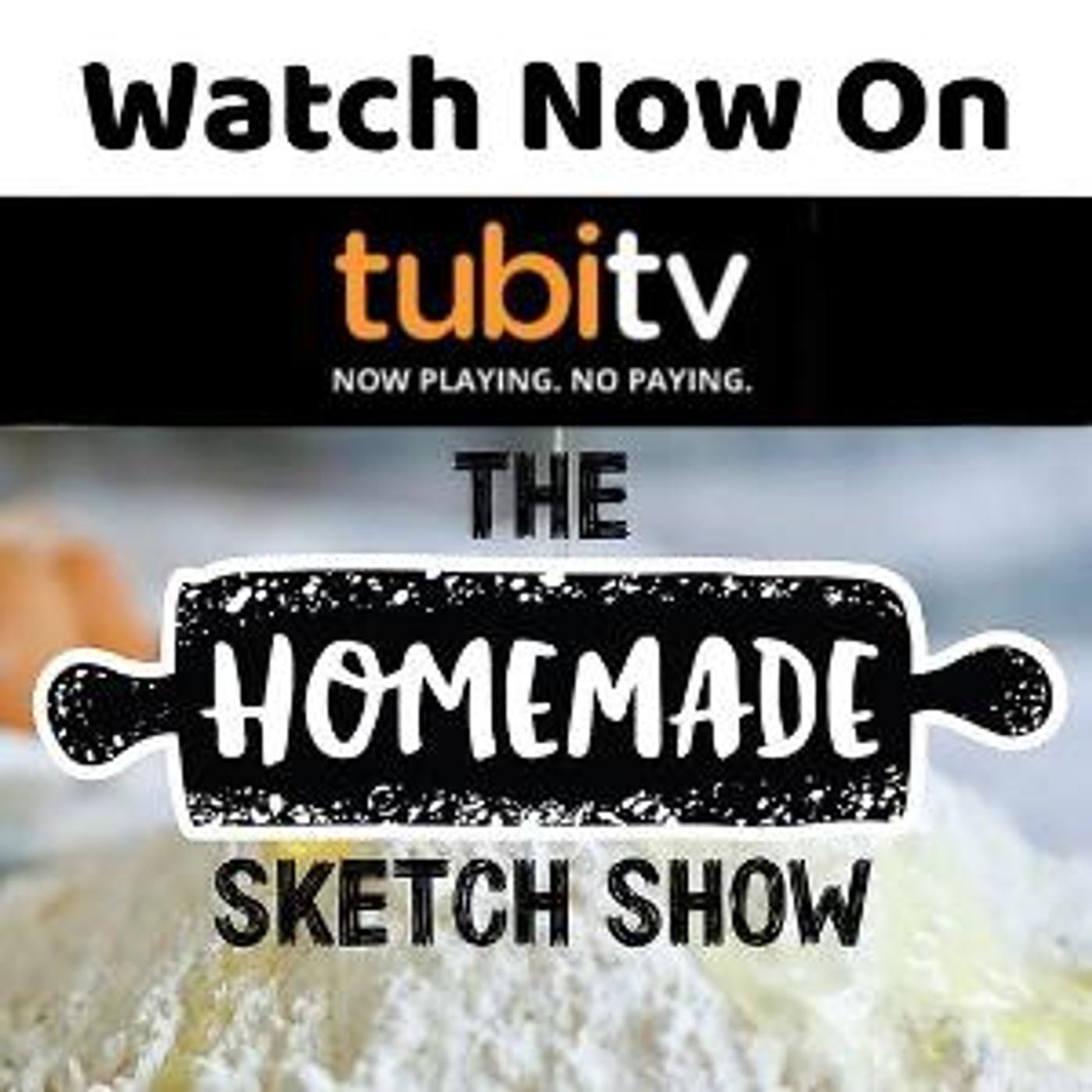 THE HOMEMADE SKETCH SHOW Comes to Tubi TV  Image