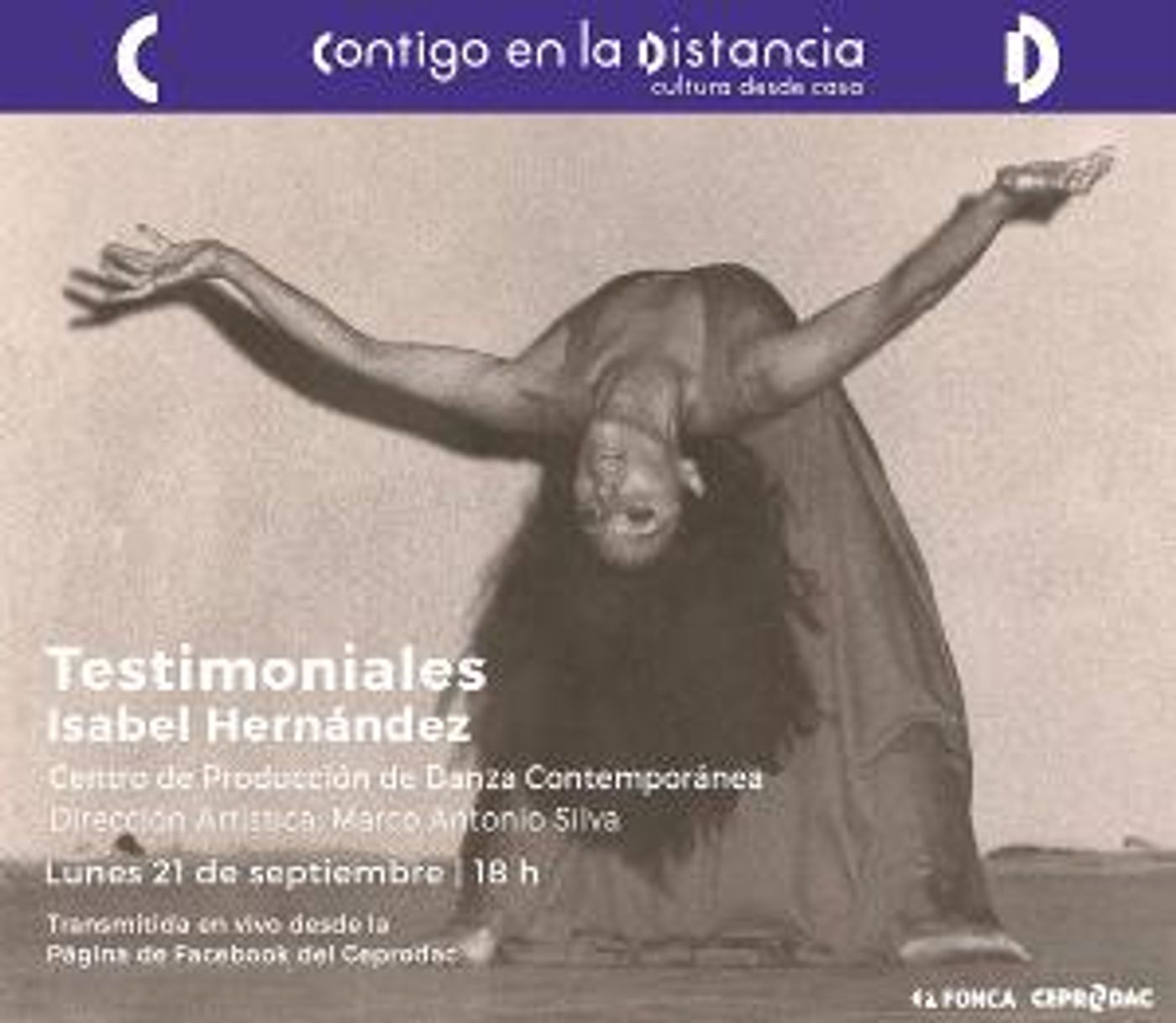 Testimoniales, Nuevo Ciclo Virtual De Conversatorios Sobre Danza Contemporánea  Image