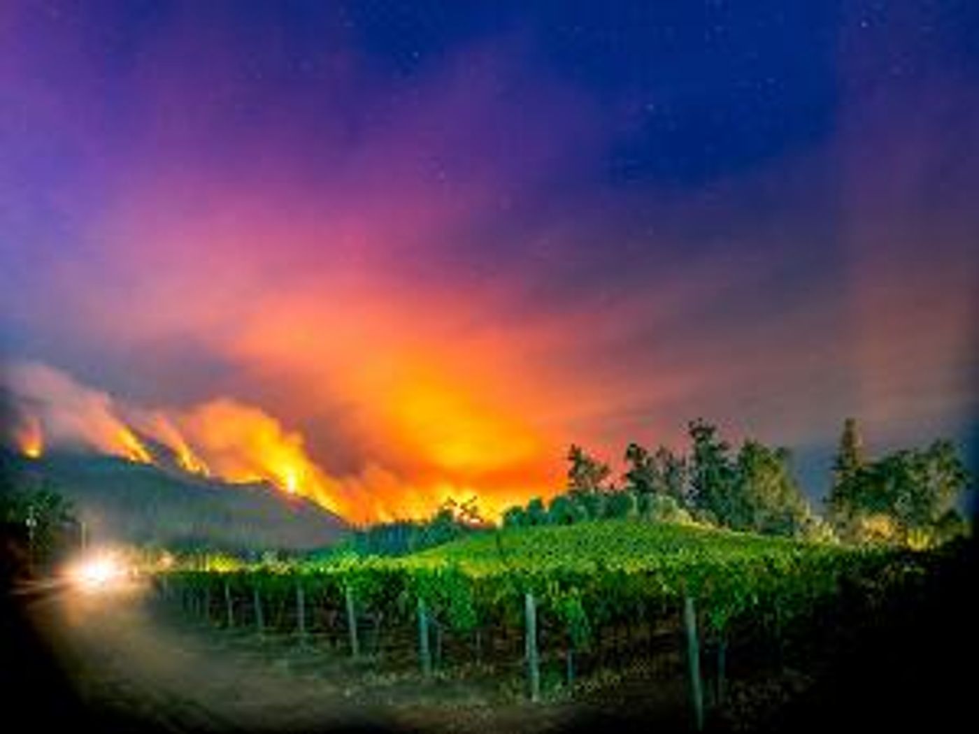 Napa Valley Museum Announces New Virtual Exhibit REAL/TIME: ART OF THE MOMENT – TESTED BY FIRE  Image