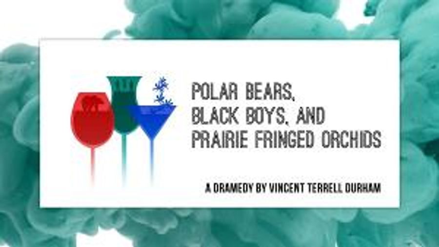 Playfest 2020 to Present POLAR BEARS, BLACK BOYS, AND PRAIRIE FRINGED ORCHIDS  Image