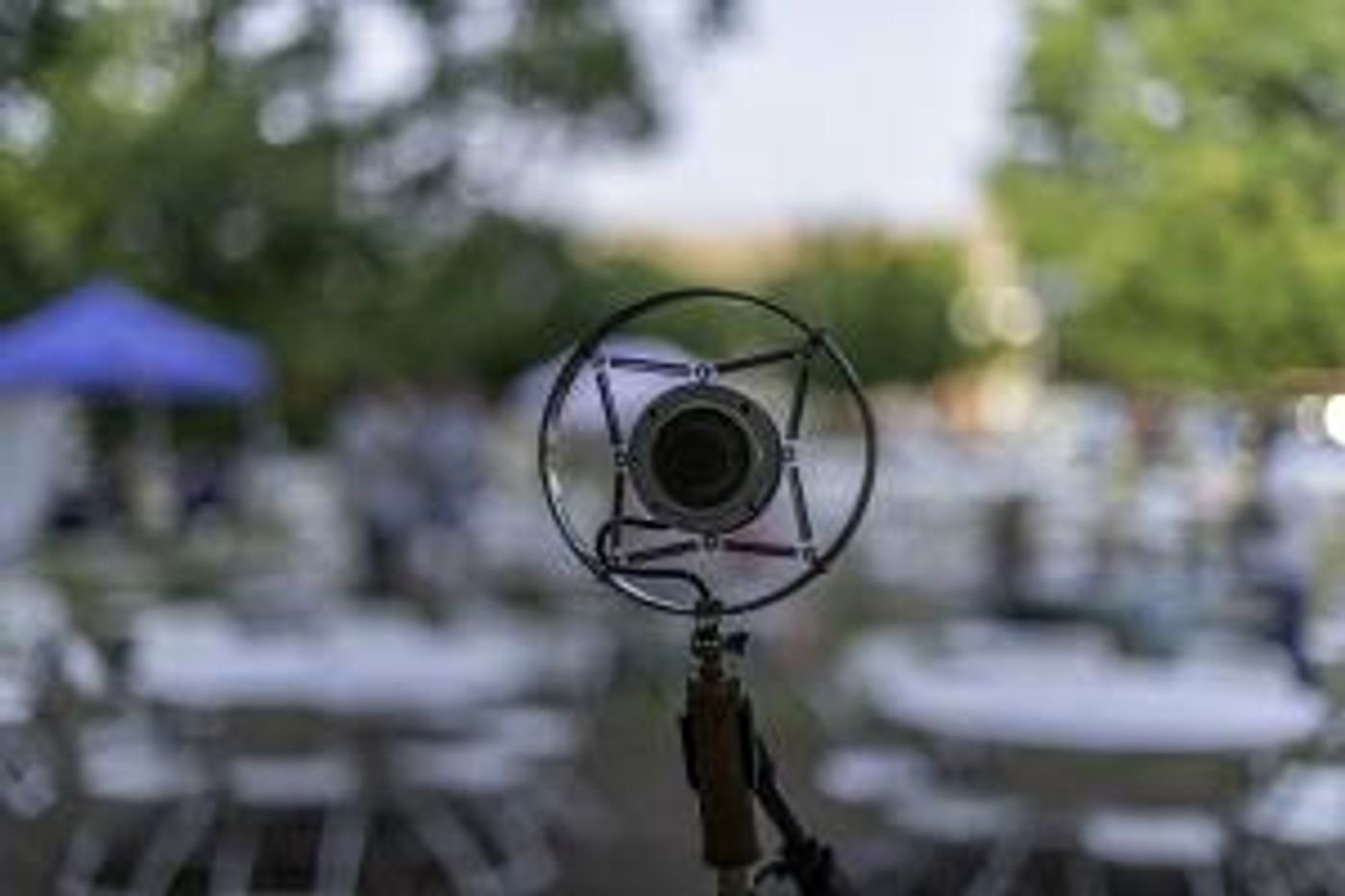 Elm Street Plans Night of Musical Theatre Under the Stars  Image